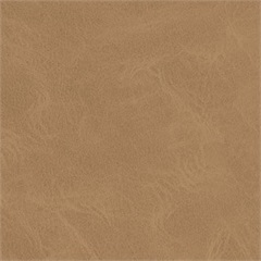 Omega Mayer Upholstery Fabric